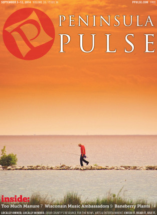 Pulse Cover v20i36 fisherman at sunset