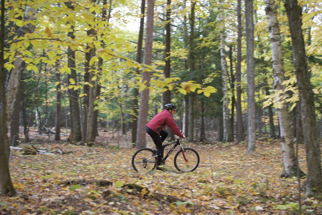 Cycling in woods