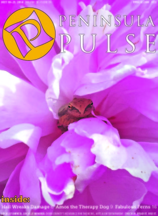 Pulse Cover v20i29 purple flower