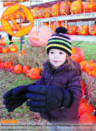 Pulse Cover v20i44 kid at pumpkin patch