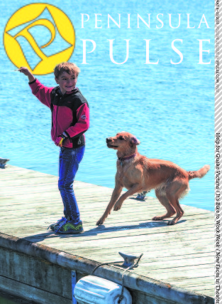 Pulse Cover v21i19 Boy on pier with dog