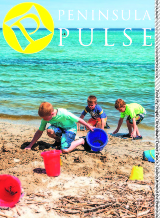 Pulse Cover v21i30 kids on beach