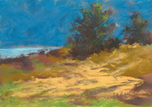 "Dunes at Baileys Harbor" by Dianne Saron. 