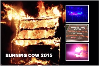 Burning Cow