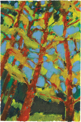 "Reaching Pines" by Ryan Miller.