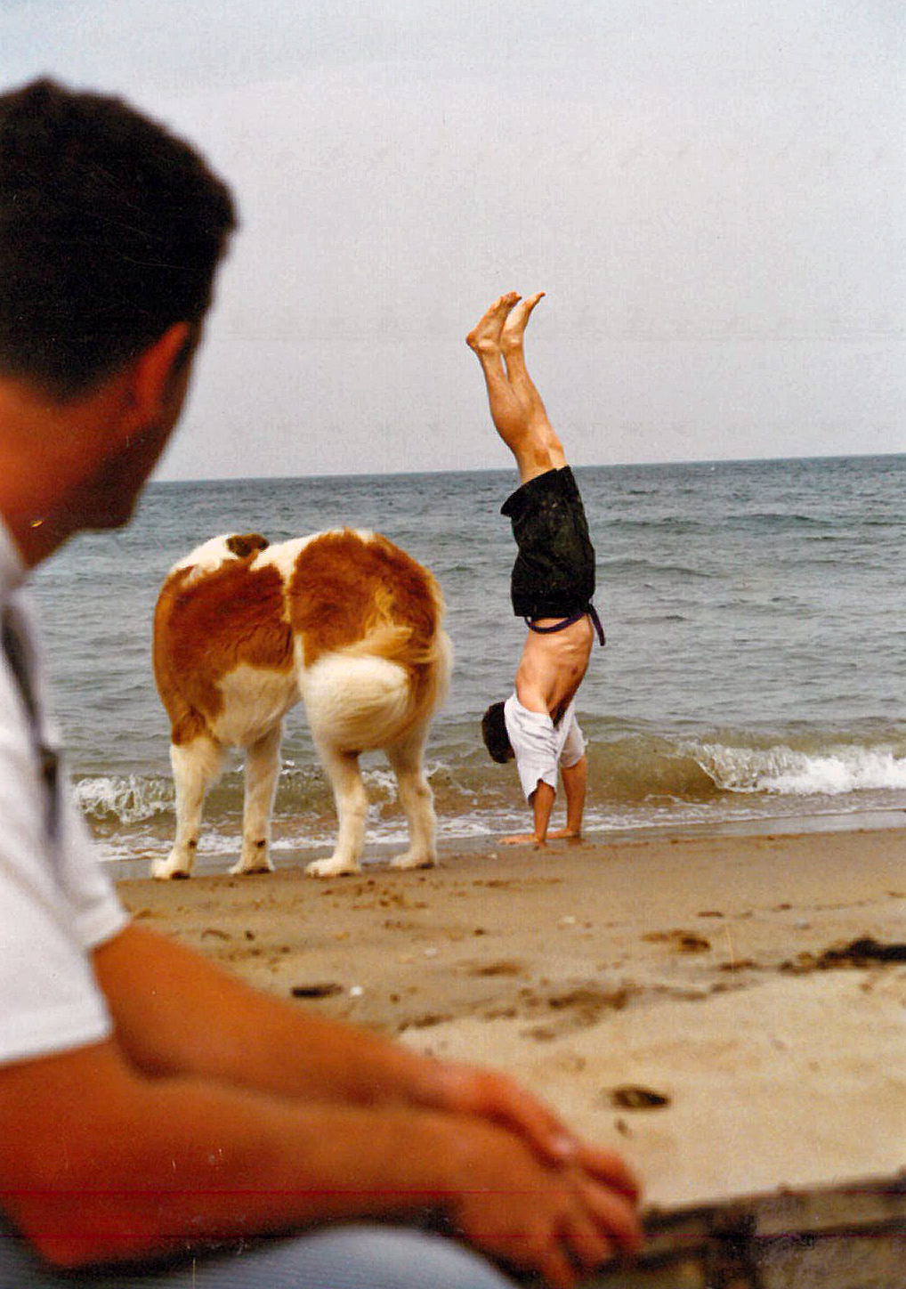 Tom Mckenzie doing a handstand on the beach was used not only as a cover photo, but also for Pulse promotions for years, with the caption “Turning the county upside down.” Photo by Dave Eliot.