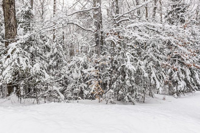 Len Villano's Pic of the Week: Snow Storm
