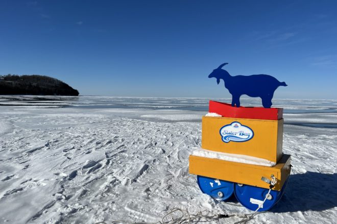 The Goat That Didn’t Float - Ice Out Contest Cancelled